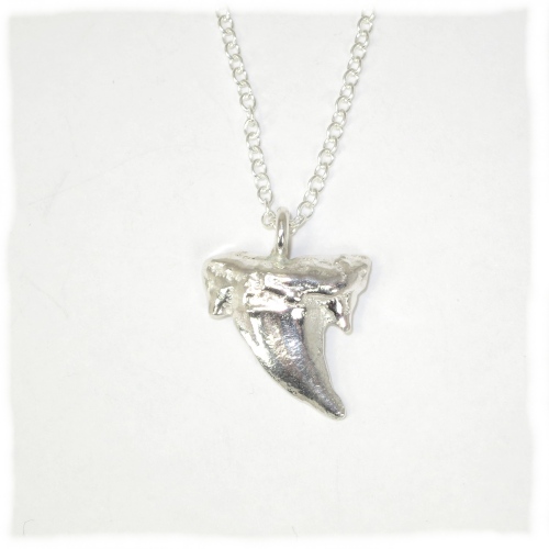 SIlver sharks tooth